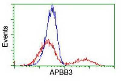 Flow Cytometry: APBB3 Antibody (OTI5G3) [NBP2-01367]