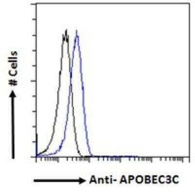 Flow Cytometry: APOBEC3C Antibody [NBP1-00131]