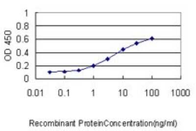 ELISA: ARF5 Antibody (1B4) [H00000381-M01]