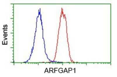 Flow Cytometry: ARFGAP1 Antibody (OTI1F6) - Azide and BSA Free [NBP2-72013]