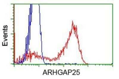 Flow Cytometry: ARHGAP25 Antibody (OTI2D5) - Azide and BSA Free [NBP2-71508]
