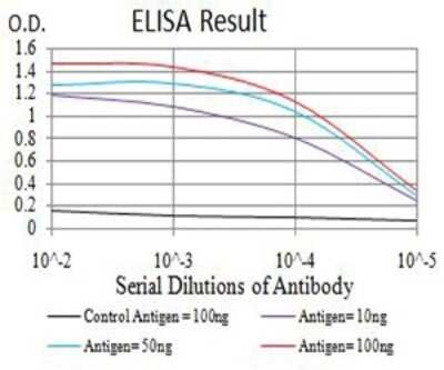 ELISA: ARHGAP42 Antibody (2F1A7) - BSA Free [NBP2-61675]