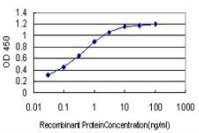 ELISA: ARID1B Antibody (2D2) [H00057492-M01]