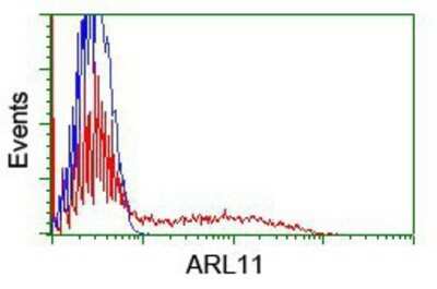 Flow Cytometry: ARL11 Antibody (OTI1A5) - Azide and BSA Free [NBP2-72348]