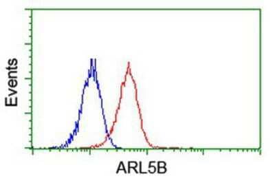 Flow Cytometry: ARL5B Antibody (OTI2D7) [NBP2-01669]