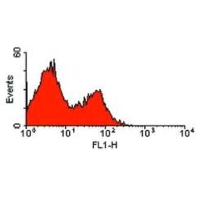 Flow Cytometry: ART2.2/Art2b Antibody (Nika102) - BSA Free [NB100-65853]