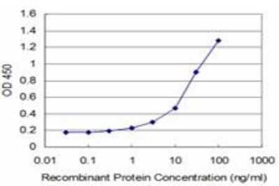 ELISA: ARX Antibody (4H8) [H00170302-M04]