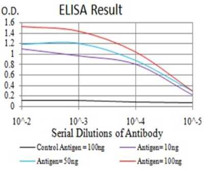 ELISA: ASC/TMS1 Antibody (1C3D3) - BSA Free [NBP2-61676]