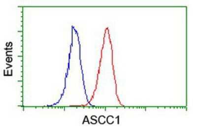Flow Cytometry: ASCC1 Antibody (OTI6G5) [NBP2-01345]