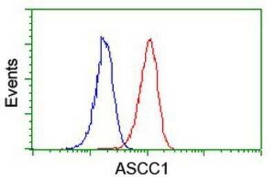 Flow Cytometry: ASCC1 Antibody (OTI6G5) - Azide and BSA Free [NBP2-71879]