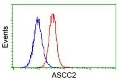 Flow Cytometry: ASCC2 Antibody (OTI1E8) [NBP2-00675]