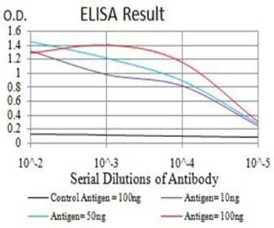 ELISA: ASF1b Antibody (6G7G4) - BSA Free [NBP2-61684]