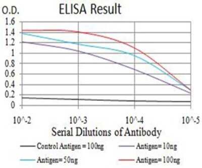 ELISA: ASH2L Antibody (6B10H10) - BSA Free [NBP2-61686]