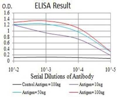 ELISA: ASH2L Antibody (6F6B9) - BSA Free [NBP2-61685]
