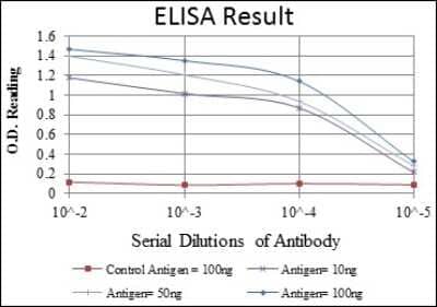 ELISA: ASK1 Antibody (2E4) - BSA Free [NBP2-37592]