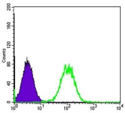 Flow Cytometry: ASK1 Antibody (2E4) - BSA Free [NBP2-37592]