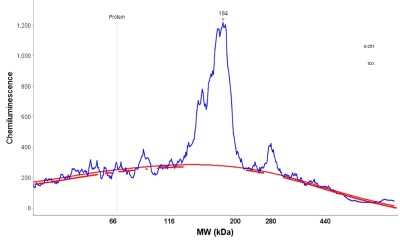 Simple Western: ATAD2 Antibody (CL0182) [NBP2-14786]