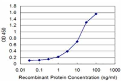 ELISA: ATF4 Antibody (2E3) [H00000468-M07]