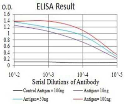 ELISA: ATG2A Antibody (4H8G3) - BSA Free [NBP2-61689]