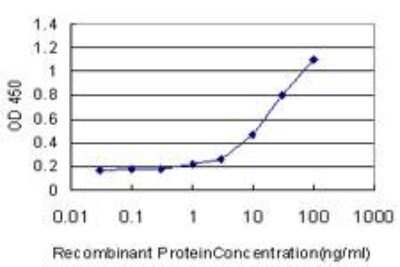 ELISA: ATG3/APG3 Antibody (1F7) [H00064422-M06]
