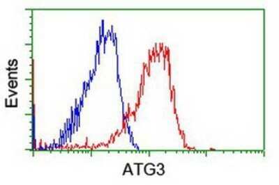 Flow Cytometry: ATG3/APG3 Antibody (OTI3H2) - Azide and BSA Free [NBP2-72140]