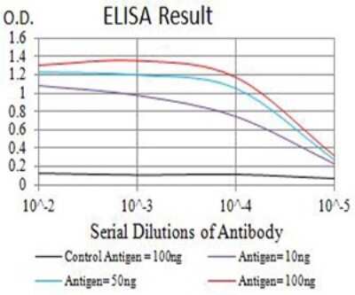 ELISA: ATG4C Antibody (2E10H7) - BSA Free [NBP2-61691]