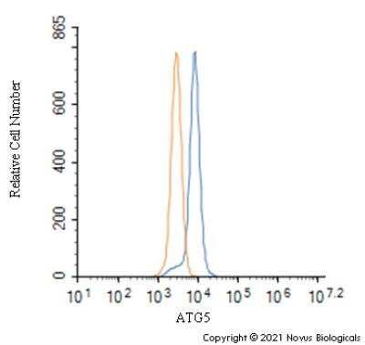 Flow Cytometry: ATG5 Antibody - BSA Free [NBP3-11775]
