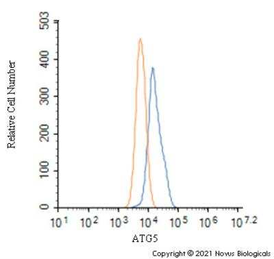 Flow Cytometry: ATG5 Antibody - BSA Free [NBP3-11775]