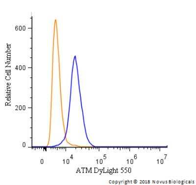 Flow Cytometry: ATM Antibody [NB100-104]
