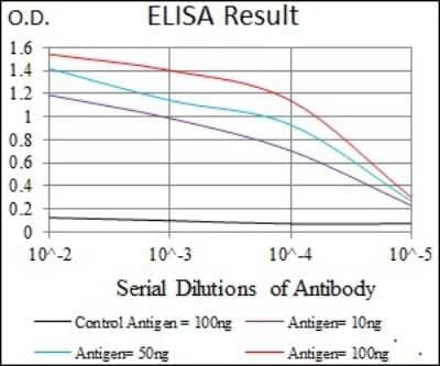 ELISA: ATP Citrate Lyase Antibody (5F8D11) - BSA Free [NBP2-37429]