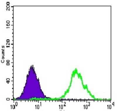 Flow Cytometry: ATP Citrate Lyase Antibody (5F8D11) - BSA Free [NBP2-37429]
