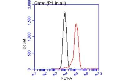 Flow Cytometry: ATP6V1A Antibody (GT1561) [NBP3-13542]