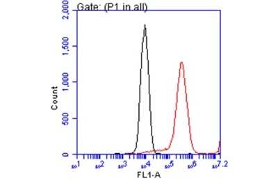 Flow Cytometry: ATP6V1A Antibody (GT811) [NBP3-13541]