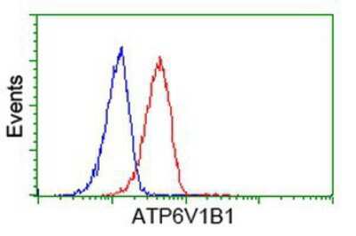 Flow Cytometry: ATP6V1B1 Antibody (OTI1H6) [NBP2-00580]