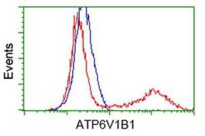 Flow Cytometry: ATP6V1B1 Antibody (OTI1H6) [NBP2-00580]