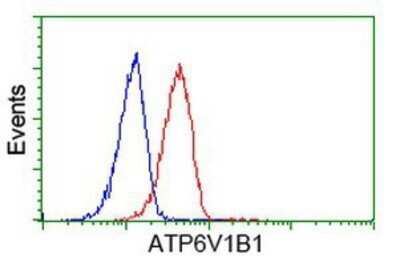 Flow Cytometry: ATP6V1B1 Antibody (OTI1H6) - Azide and BSA Free [NBP2-70237]