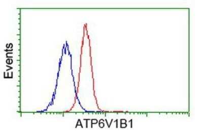 Flow Cytometry: ATP6V1B1 Antibody (OTI1H6) - Azide and BSA Free [NBP2-70237]