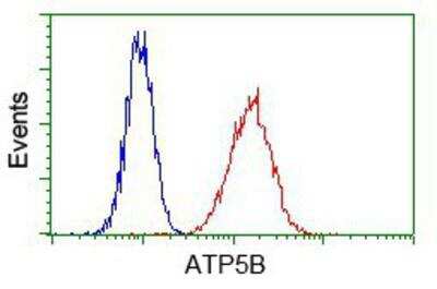 Flow Cytometry: ATPB Antibody (OTI4E5) [NBP2-02249]