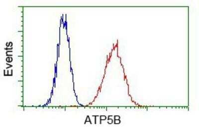 Flow Cytometry: ATPB Antibody (OTI4E5) - Azide and BSA Free [NBP2-70224]