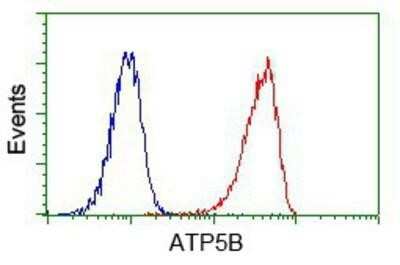 Flow Cytometry: ATPB Antibody (OTI4E5) - Azide and BSA Free [NBP2-70224]