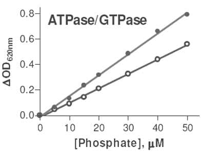 ELISA: ATPase/GTPase Assay Kit (Colorimetric) [KA1610]