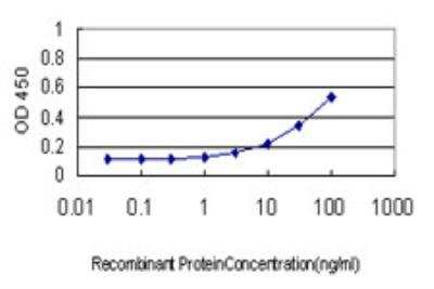 ELISA: ATPase Na+/K+ beta 3 Antibody (1E9) [H00000483-M03]