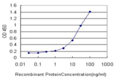 ELISA: ATPase Na+/K+ beta 3 Antibody (2F4) [H00000483-M05]