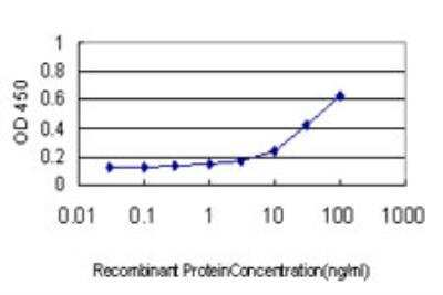 ELISA: ATPase Na+/K+ beta 3 Antibody (2F5) [H00000483-M06]