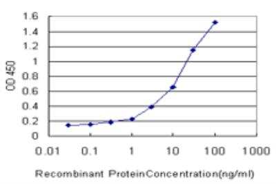 ELISA: ATPase Na+/K+ beta 3 Antibody (2F5) [H00000483-M06]