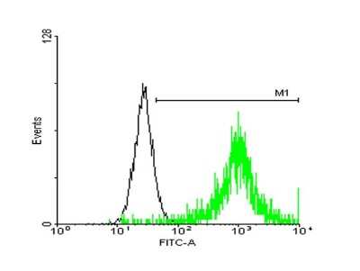 Flow Cytometry: ATPase Na+/K+ beta 3 Antibody [H00000483-B01P]