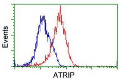 Flow Cytometry: ATRIP Antibody (OTI5E7) [NBP2-02004]