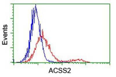 Flow Cytometry: Acetyl CoA synthetase Antibody (OTI3H4) [NBP2-01269]