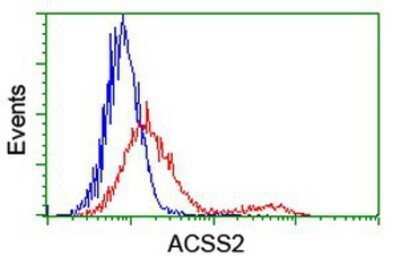 Flow Cytometry: Acetyl CoA synthetase Antibody (OTI3H4) - Azide and BSA Free [NBP2-72039]
