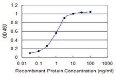 ELISA: Acetyl-coenzyme A transporter 1 Antibody (3A4) [H00009197-M07]